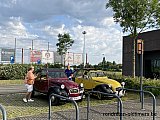 Zandlemig Vlaanderen